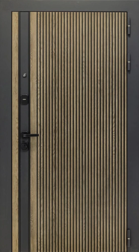 Входная дверь ДвериПРО Rosna ФЛ-256 (10мм, бетон пепельный) DPRO200165 внешняя сторона